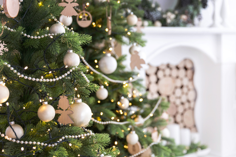 Miért lett épp a fenyőfa a karácsony jelképe?